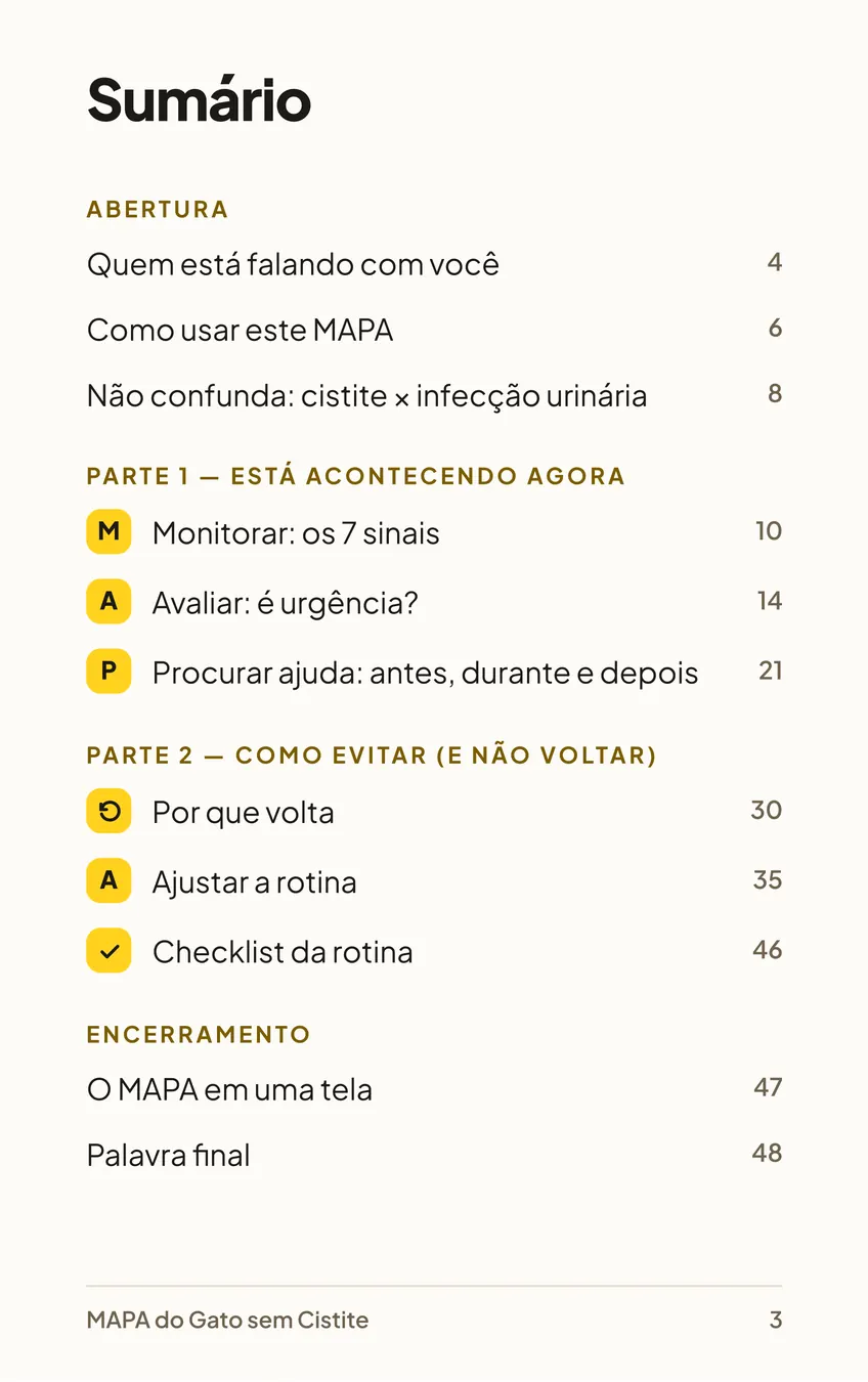Página 3 do MAPA: sumário, com Abertura, Parte 1 (Está acontecendo agora), Parte 2 (Como evitar e não voltar) e Encerramento.